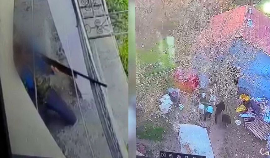 Komşu Kavgasında Tüfekli Saldırı Kamerada: Şüpheli Serbest Bırakıldı
