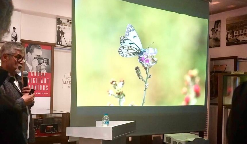 Malatya Kelebek Çeşitliliğiyle İlk 5'te