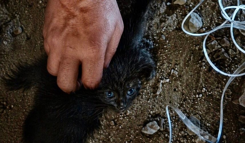 Minik Can Baca Deliğinde Mahsur Kaldı, İtfaiye Seferber Oldu