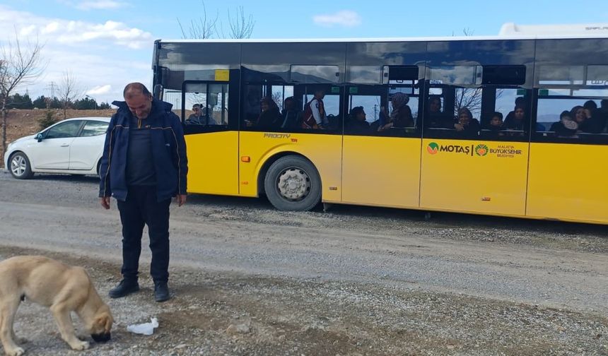 MOTAŞ Şoföründen Yürek Isıtan Hareket: Topallayan Köpeğin Ayağındaki Taşı Çıkardı