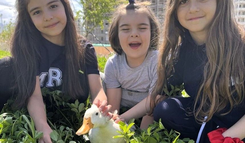 Okulda Şiddete Karşı Örnek Model: Mercan Koleji'nde Sevgi Temelli Eğitim