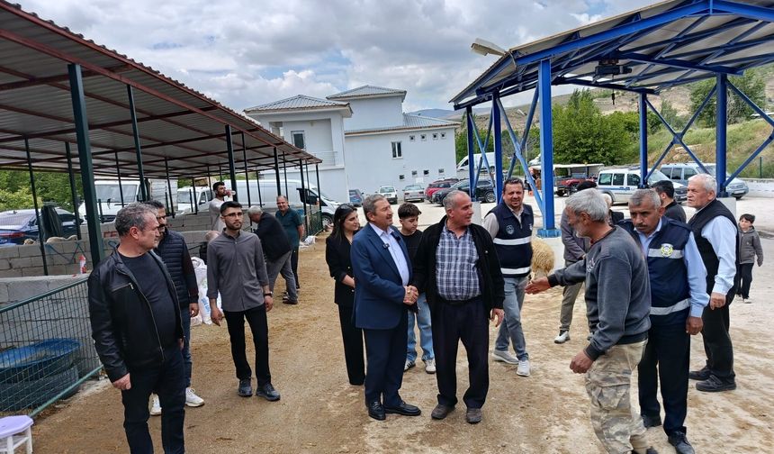Darende Hayvan Pazarında Bayram Yoğunluğu