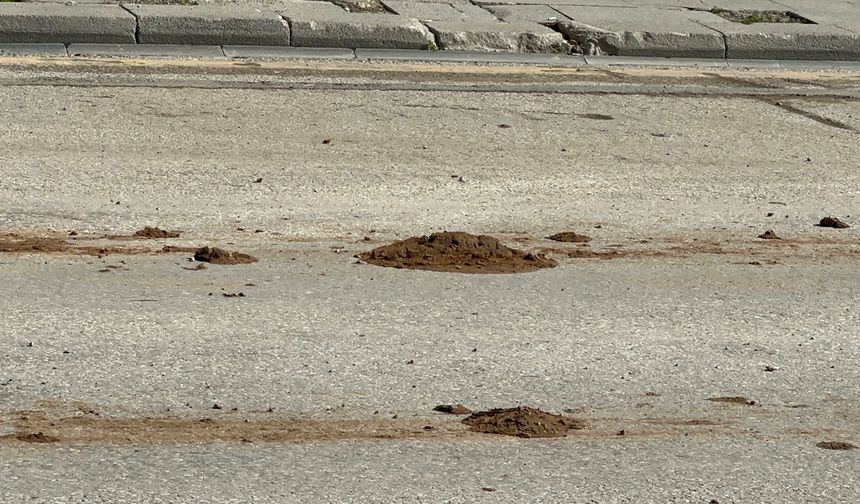 İnönü Caddesi'nde Çamur Tepkisi