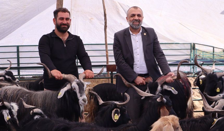 Kurban Pazarında Hareketlilik Başladı