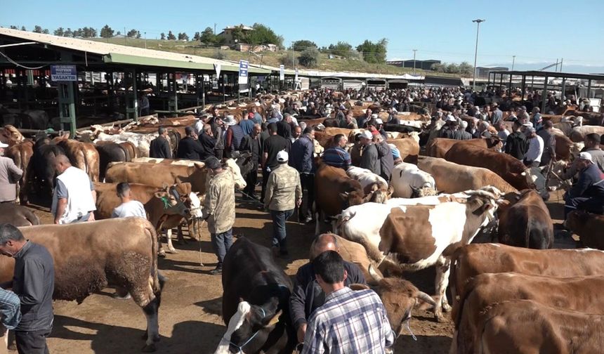 Malatya'da Kurban Pazarı Hareketli, Satışlar Durgun