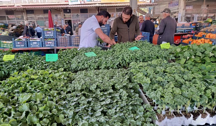 Pazardaki Fiyatlar Artınca Vatandaş Fideliğe Koştu