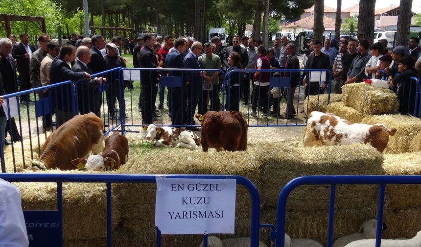 Yazıhan'da Dünya Çiftçiler Günü Coşkuyla Kutlandı