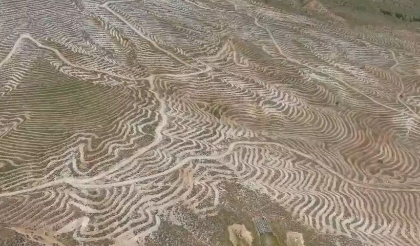 Doğanşehir Dağları İlmek İlmek İşleniyor: 200 Hektarlık Alan 'Yeşil Vatan' Oluyor!