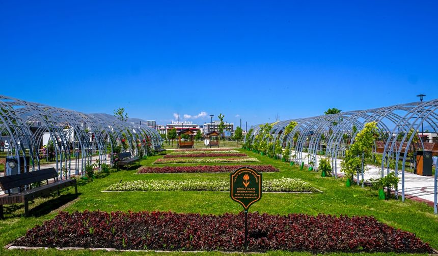 Malatya'da Parklar ve Kavşaklar Çiçeklerle Süslendi
