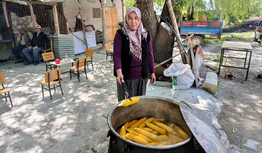 Mısır Satarak Ailesine Ve Üniversiteli Çocuğuna Destek Oluyor