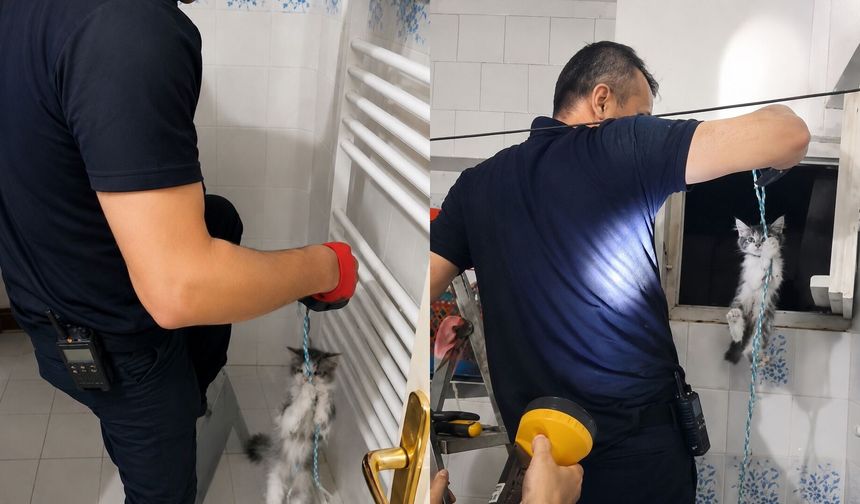Yavru Kedinin İmdadına İtfaiye Yetişti