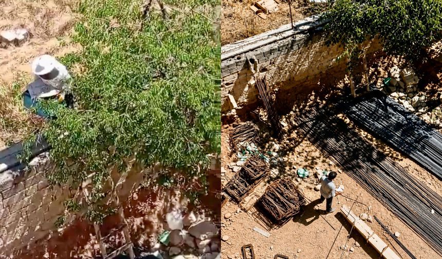 Battalgazi'de İnşaat Alanını Arı Sürüsü Bastı