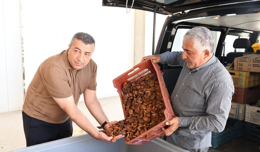 Borsa Başkanı Özcan'dan Kayısı Üreticilerine Lisanslı Depo Çağrısı