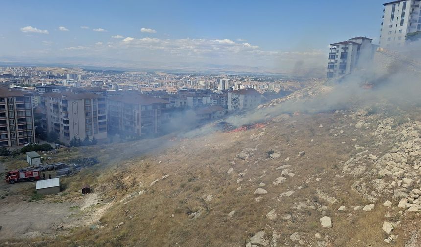 Çöşnük'te Ot Yangını Korkuttu