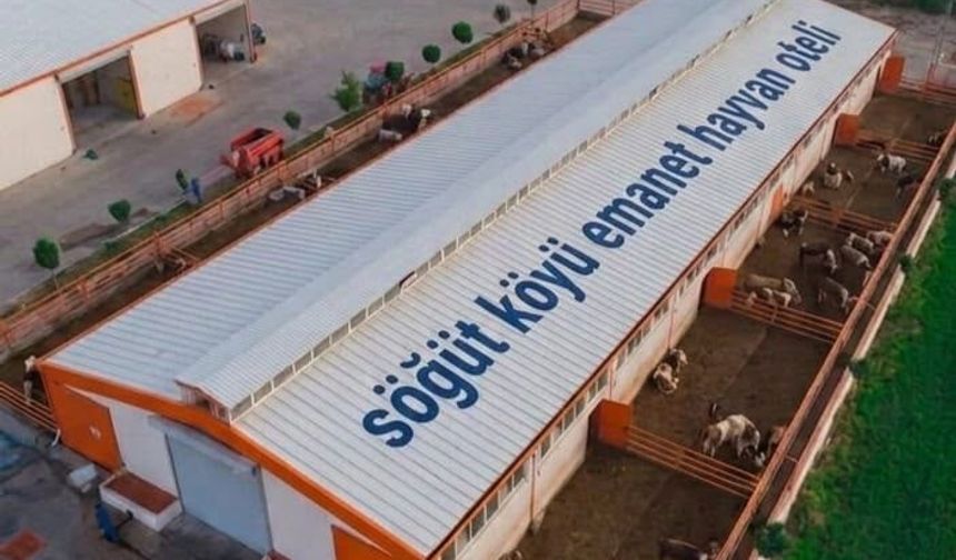 Gurbetçilere Özel 'Emanet Hayvan Oteli' Projesi Hayata Geçiyor