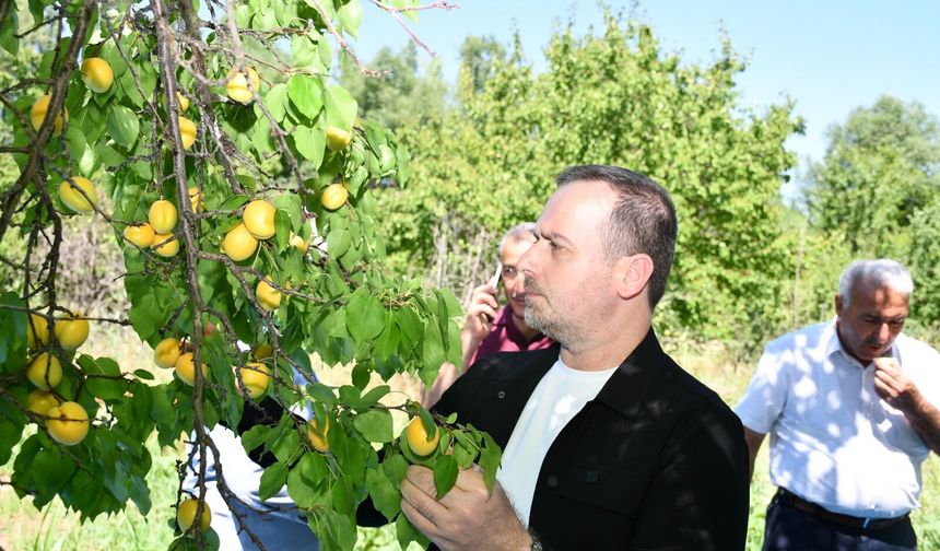 Karademir 'Kayısı Malatya'nın Can Damarıdır'