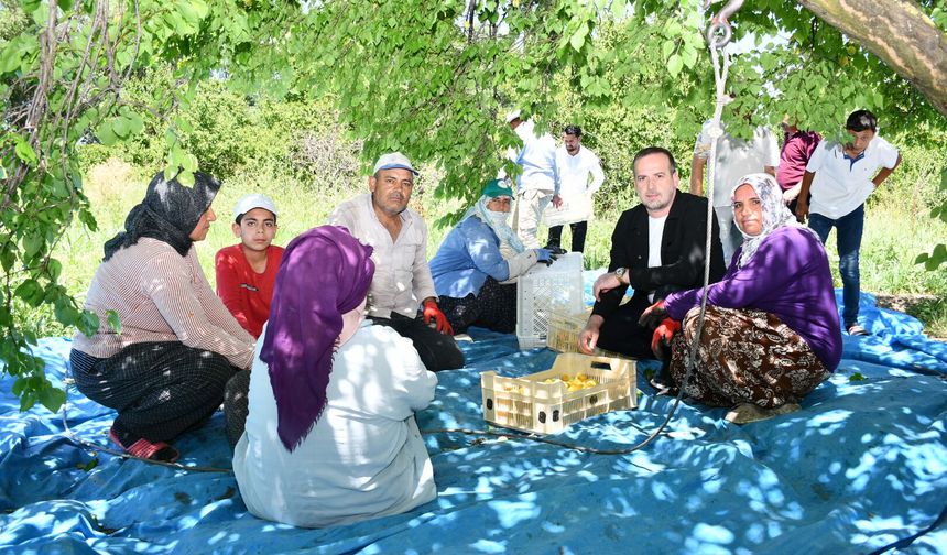 Karademir: 'Malatya'nın yeniden güçlü bir Kayısı Birliği'ne ihtiyacı var'