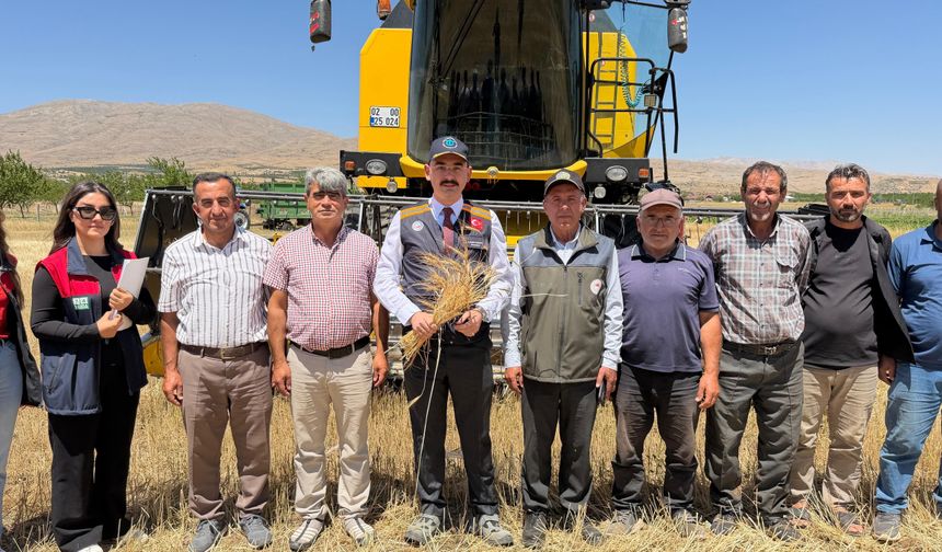 Kaymakam Sungur, Buğday Hasadına Katıldı, Anız Yangınlarına Karşı Uyardı
