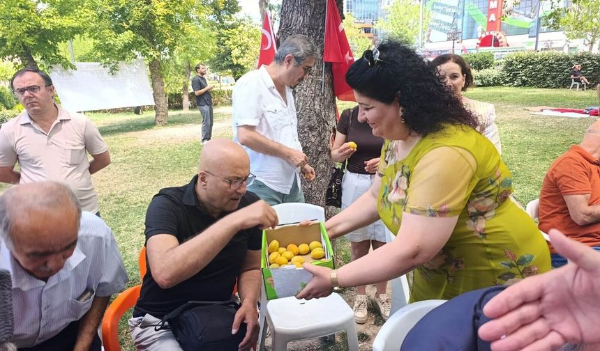 Malatyalılardan Güvenpark'ta Gazi Ve Şehit Ailelerine Kayısı Desteği