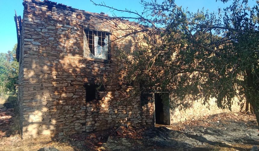 Pütürge'de Yangın: 2 Ev ve 20 Dönümlük Alan Küle Döndü