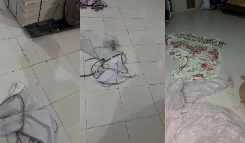 Vatandaş Görüntüledi: Fırında Böcek Var İddiası