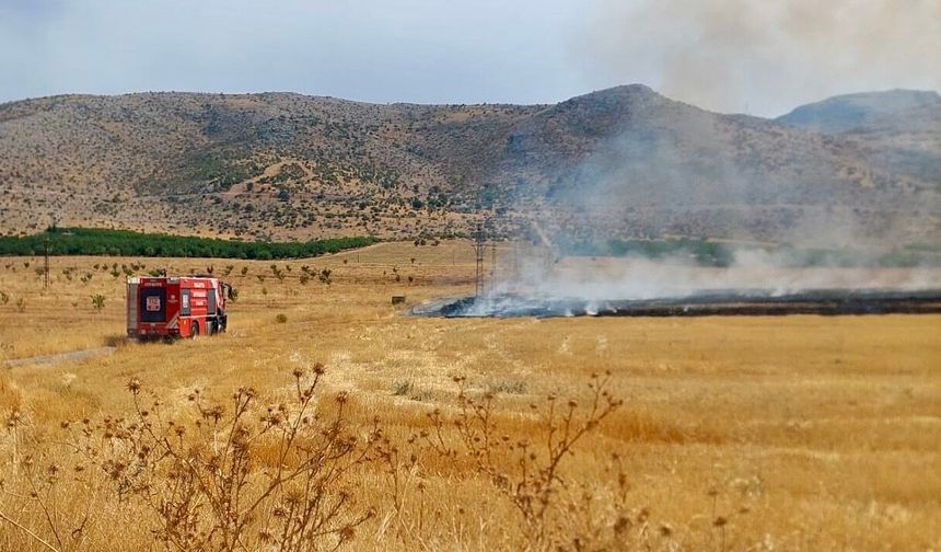 Anız Yangınında 40 Dönüm Alan Zarar Gördü