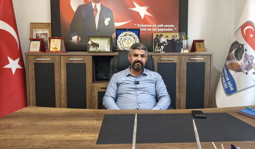 Başkan Ergül Günaydın: 'Sütü Değerinde Pazarlarsak İthalatın Önüne Geçeriz'