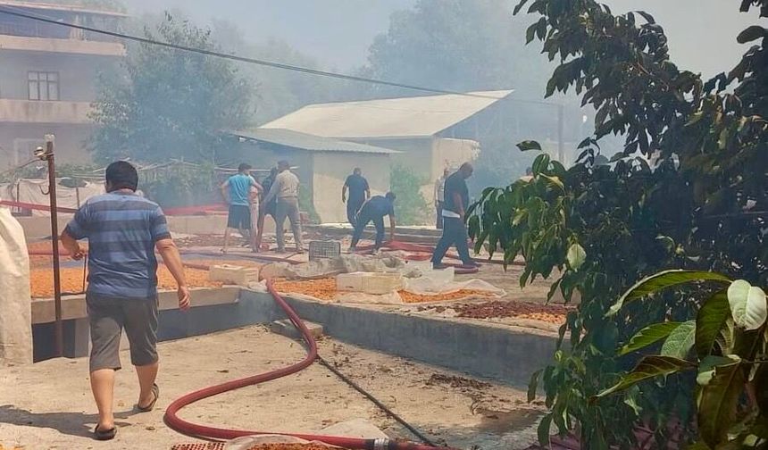Darende'de Büyük Yangın: Vali Yavuz 'Tüm İmkânlarımız Seferber Edildi'