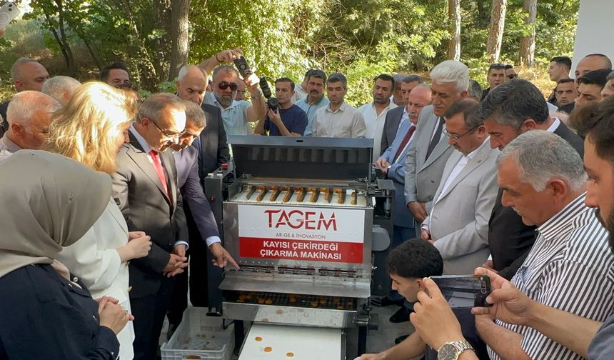 Kayısı Çekirdeği Çıkarma Makinesi Tanıtıldı: Bir Makine 15-16 İşçinin Yaptığı İşi Yapabiliyor