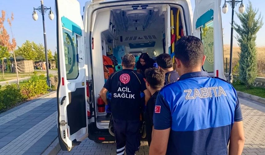 Parkta Epilepsi Nöbeti Geçirdi: Zabıta Ekipleri Seferber Oldu