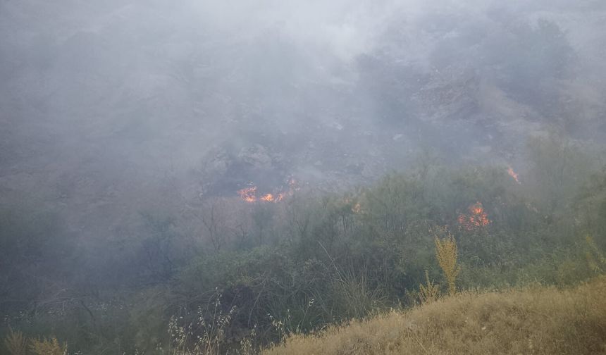 Pütürge'deki Yangına 20 Araç ve 55 Personelle Müdahale