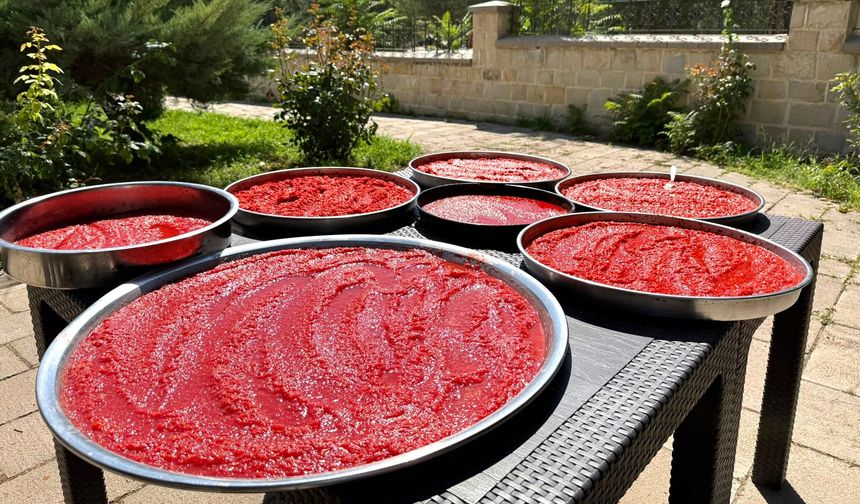 Darende'de Yazın Bereketi Kışa Saklanıyor
