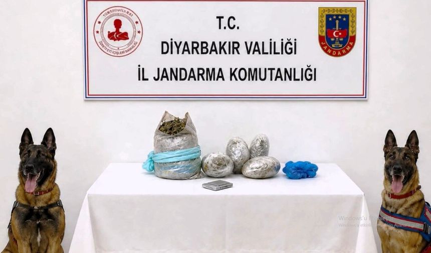 Diyarbakır'da 217 Bin 608 Kök Kenevir Ve Skunk İmha Edildi
