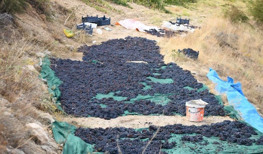 Yeşilyurt'un Değerleri Projesinin Yeni Durağı Banazı Oldu