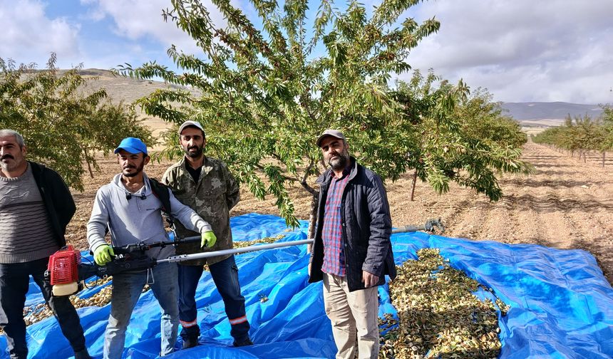 Darende'de Badem Bereketi: Üreticinin Sorunu Pazar