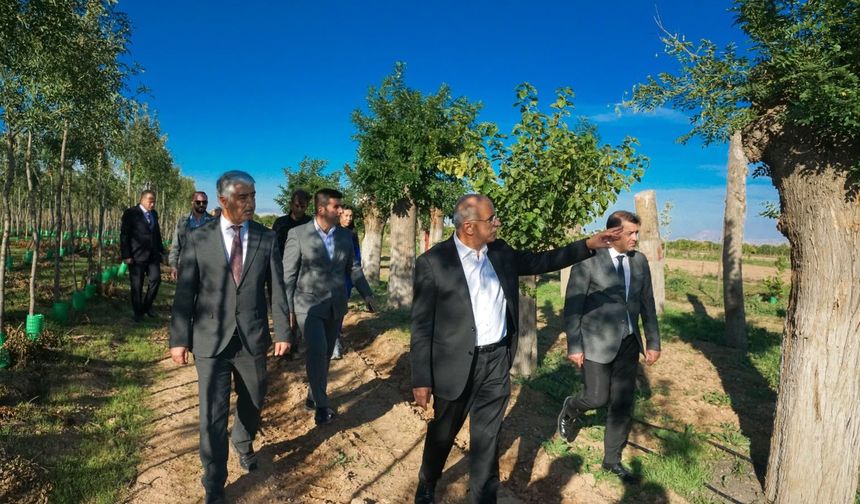 İstanbul'da Ağaç Tartışması, Malatya'da Örnek Uygulama Türkiye Gündeminde