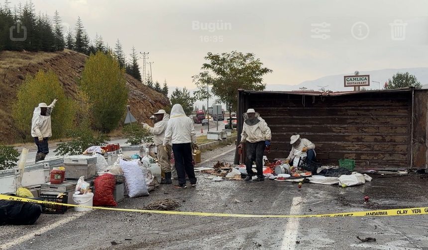 Malatya'da Arı Yüklü Kamyon Devrildi: 3 Yaralı