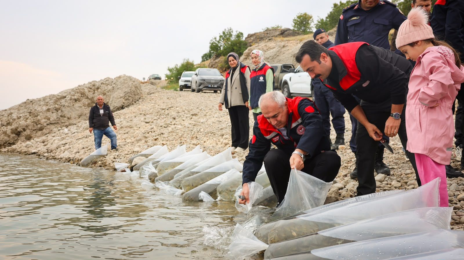 Malatya'da 1 Milyon 300 Bin Sazan Yavrusu Suya Bırakıldı